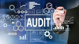 Plant Audit & Technical Support